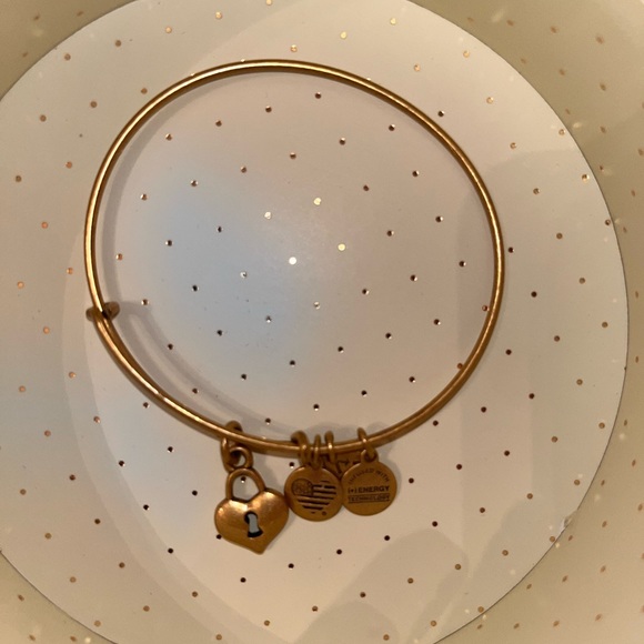 ALEX & ANI Bracelet Set (2 Bracelets) - Picture 7 of 7